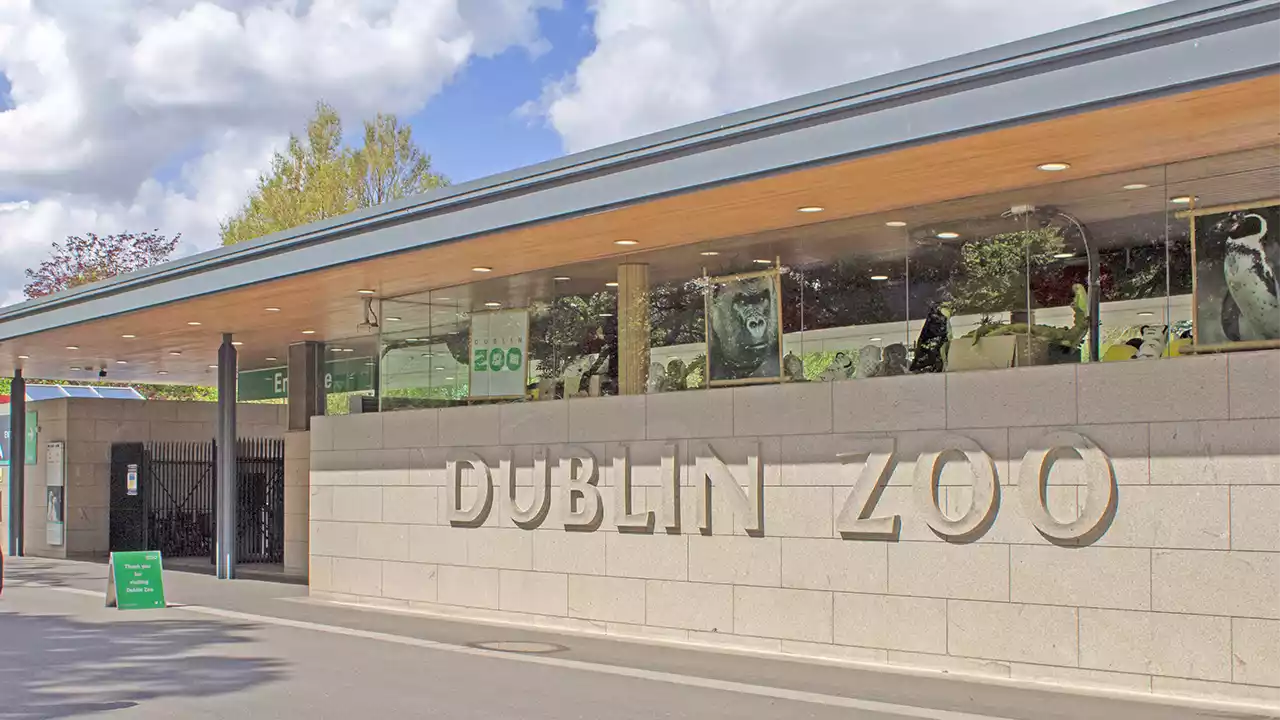 Dublin Zoo Header