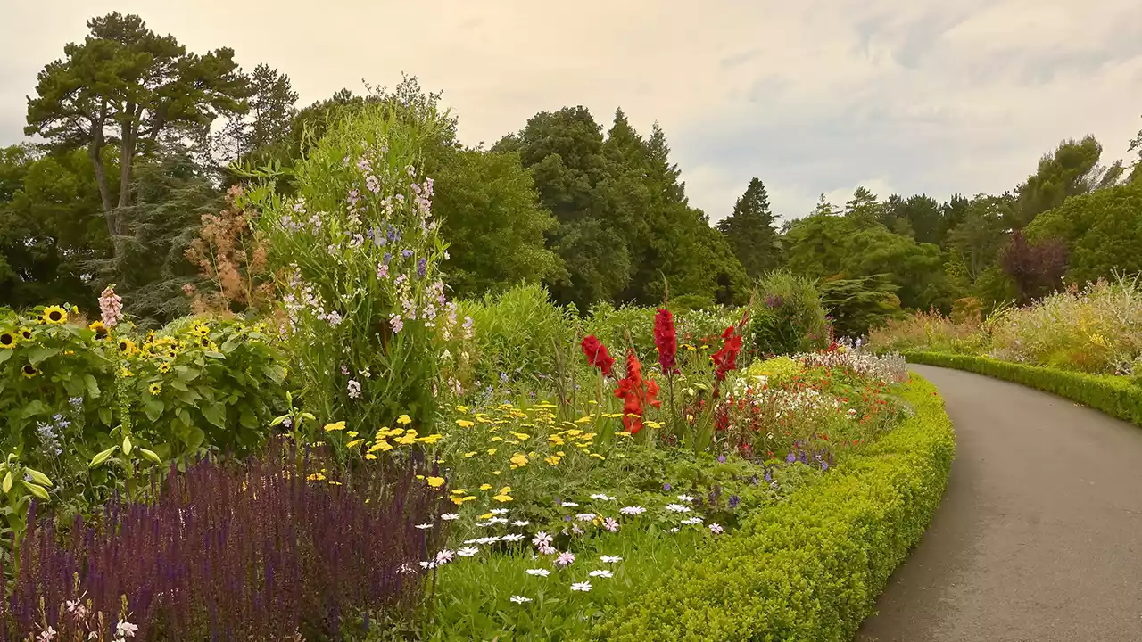 National Botanic Gardens Dublin